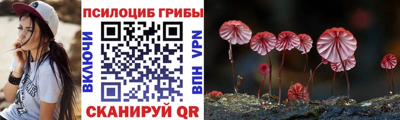 Псилоцибиновые грибы мицелий Ряжск